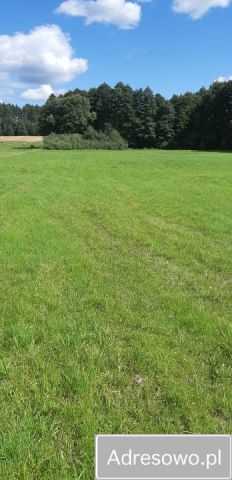 Działka siedliskowa Knyszyn. Zdjęcie 1