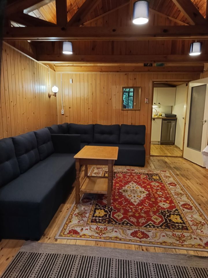 Działka budowlana Adamów-Wieś, ul. Sarnia. Zdjęcie 17