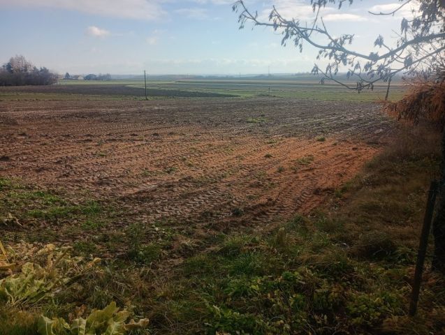 Działka budowlana Buk. Zdjęcie 1