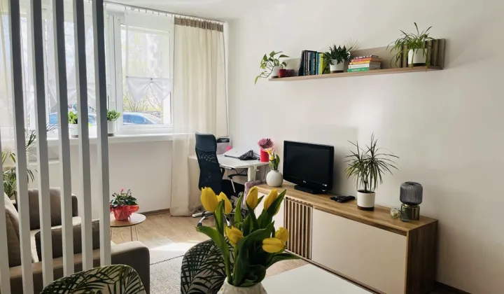 Mieszkanie 2-pokojowe Zielona Góra Centrum, ul. Ptasia