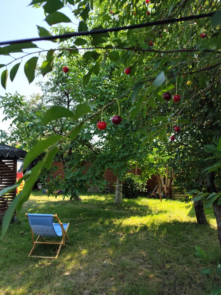 Działka rod Kalisz Szczypiorno, ul. Daleka. Zdjęcie 1