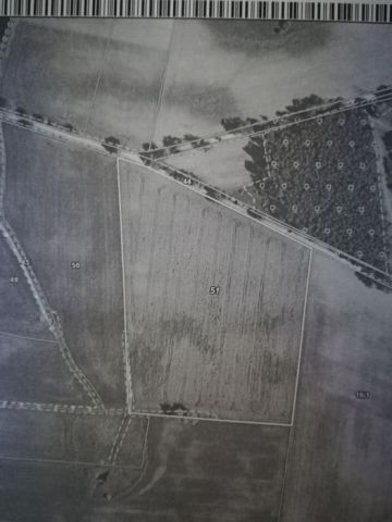 Działka rolna Sucha. Zdjęcie 1