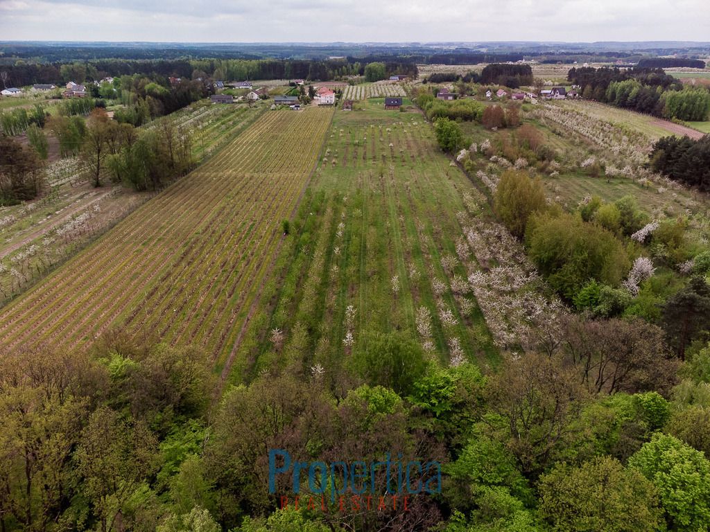 Działka budowlana Kocerany, ul. Nowy Trakt. Zdjęcie 8