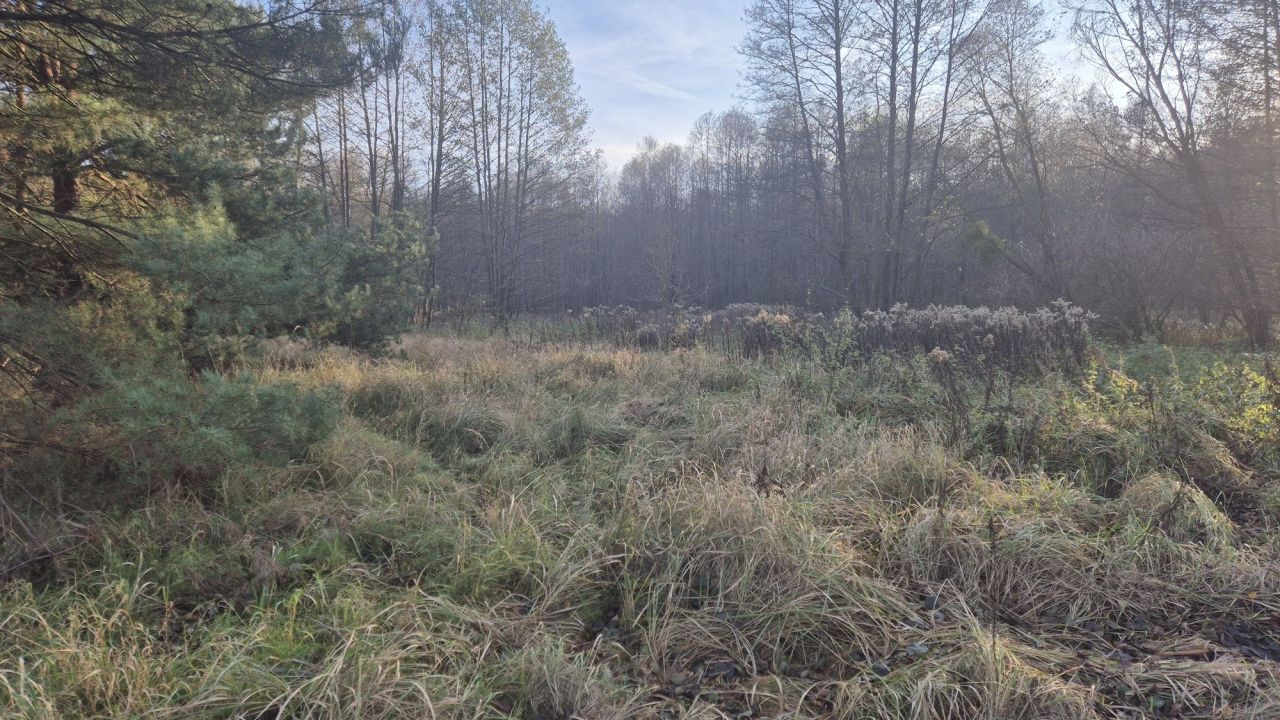 Działka rolno-budowlana Dubielno. Zdjęcie 3