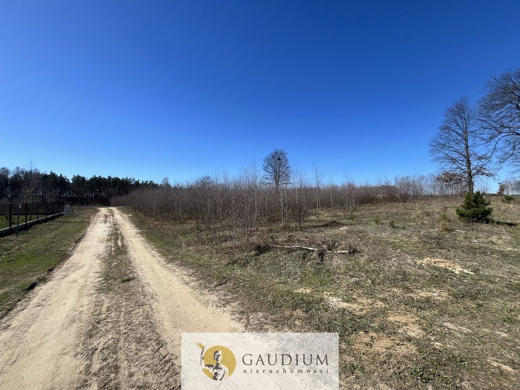 Działka budowlana Lipinki Królewskie, ul. Zielona. Zdjęcie 6