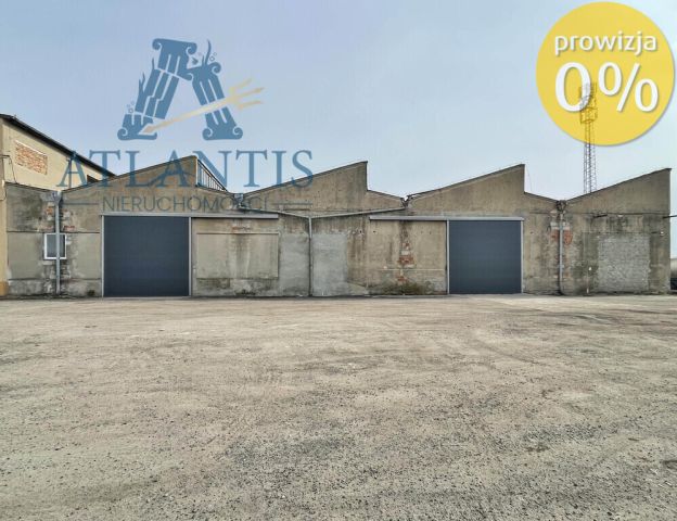 Hala/magazyn Pakość, ul. Inowrocławska. Zdjęcie 6