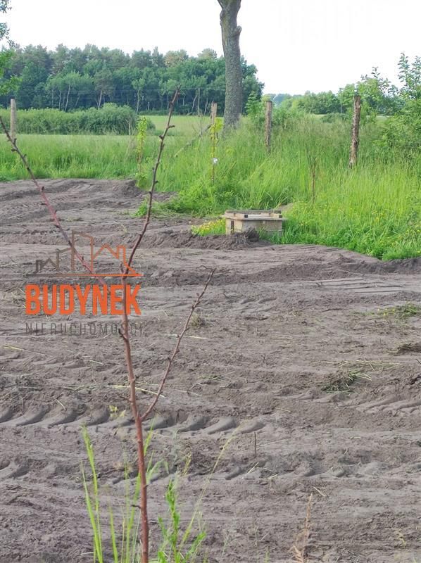 Działka budowlana Darłowo, ul. Klonowa. Zdjęcie 12