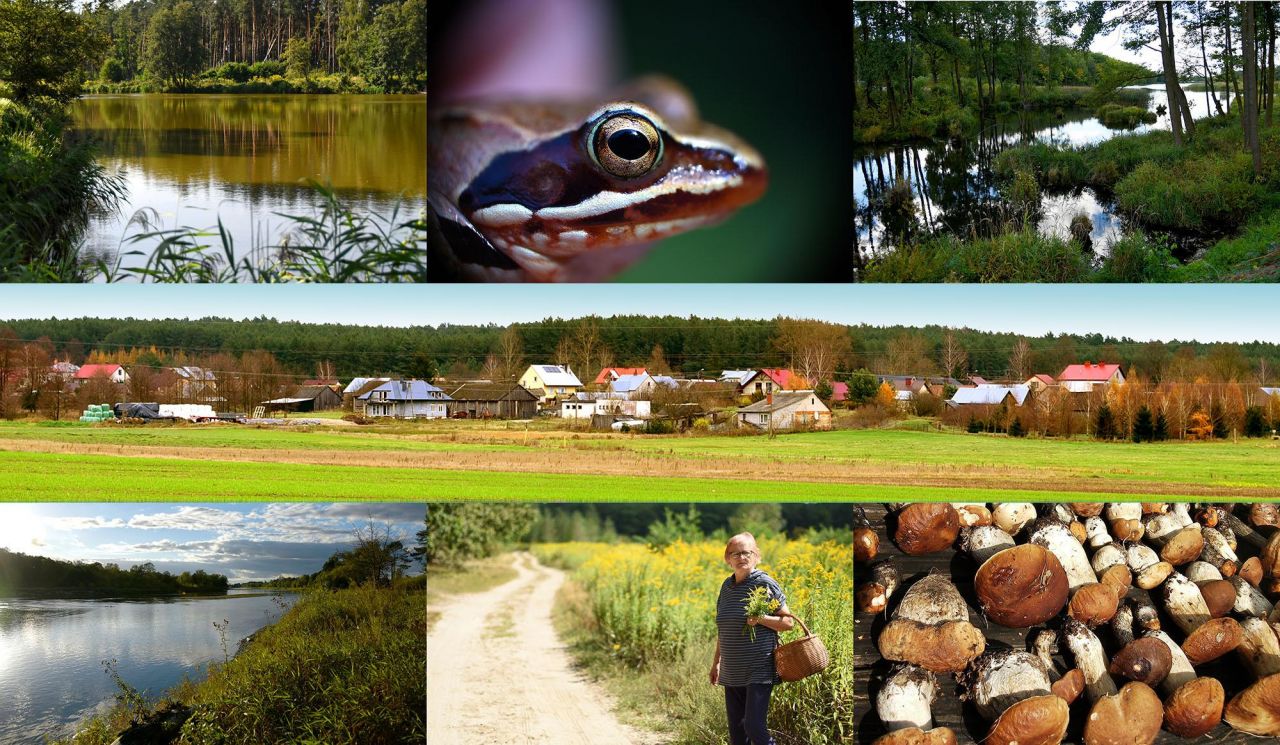 Działka leśna Turna Duża. Zdjęcie 2