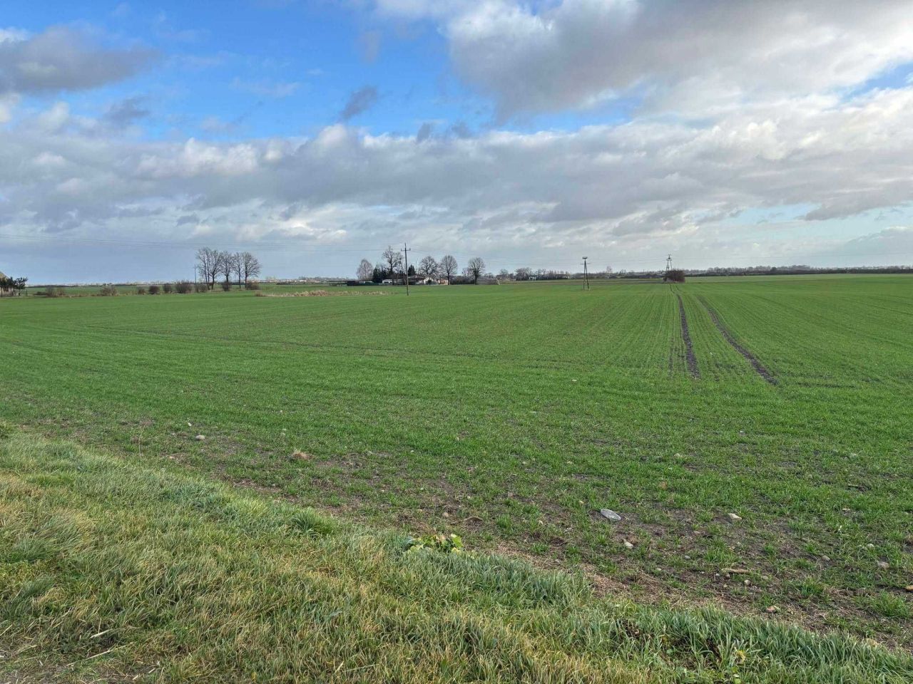 Działka budowlana Sobiesiernie. Zdjęcie 2