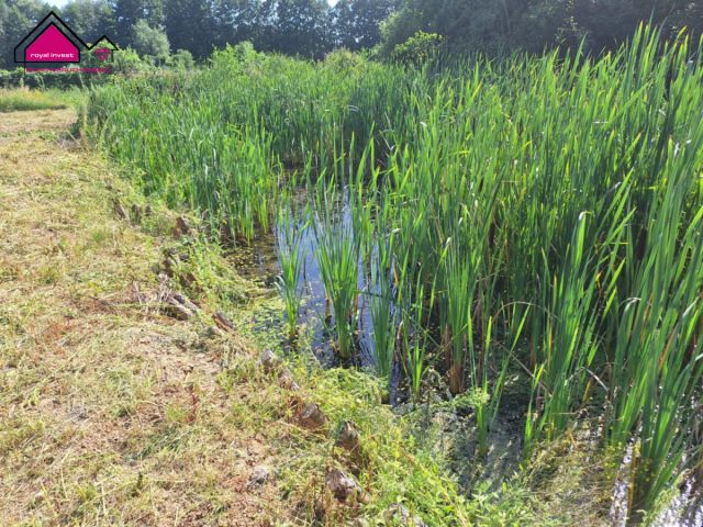 siedlisko, 3 pokoje Stawiska Wymysłowo. Zdjęcie 20