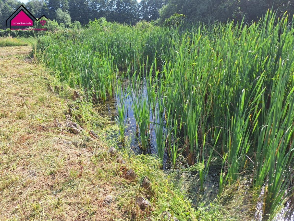 siedlisko, 3 pokoje Stawiska Wymysłowo. Zdjęcie 20