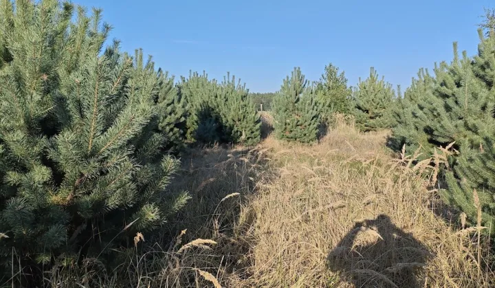 Działka budowlana Wielka Wieś