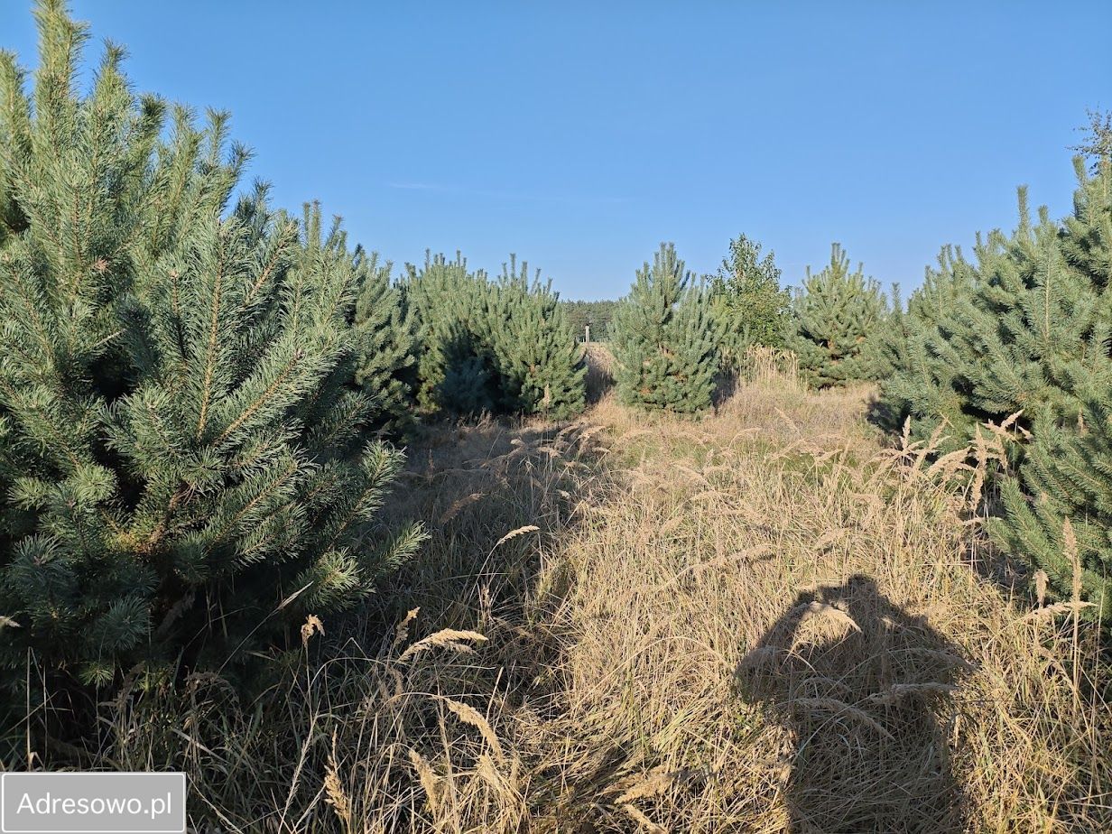 Działka budowlana Wielka Wieś. Zdjęcie 1