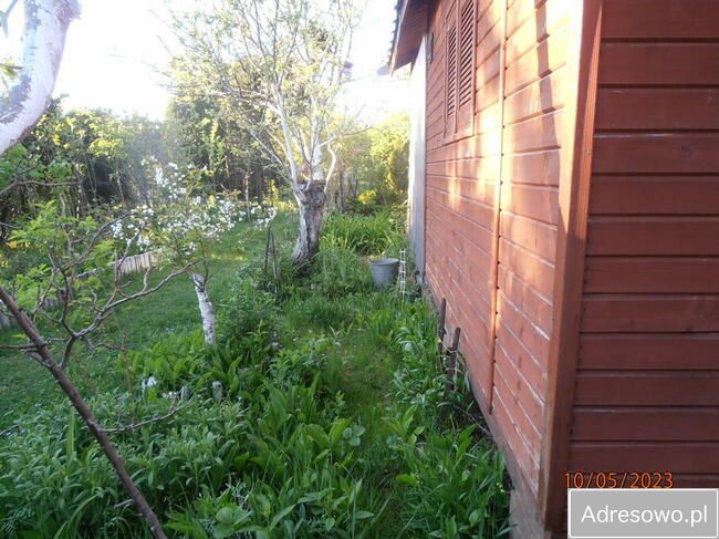 Działka rod Łódź Retkinia, ul. Franciszka Plocka. Zdjęcie 5