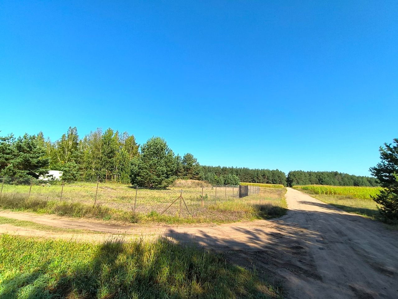 Działka siedliskowa Pełty. Zdjęcie 3