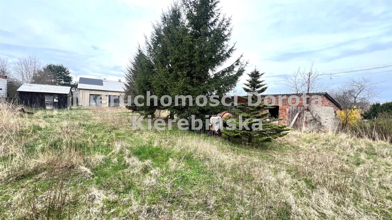 Działka Polichno. Zdjęcie 12