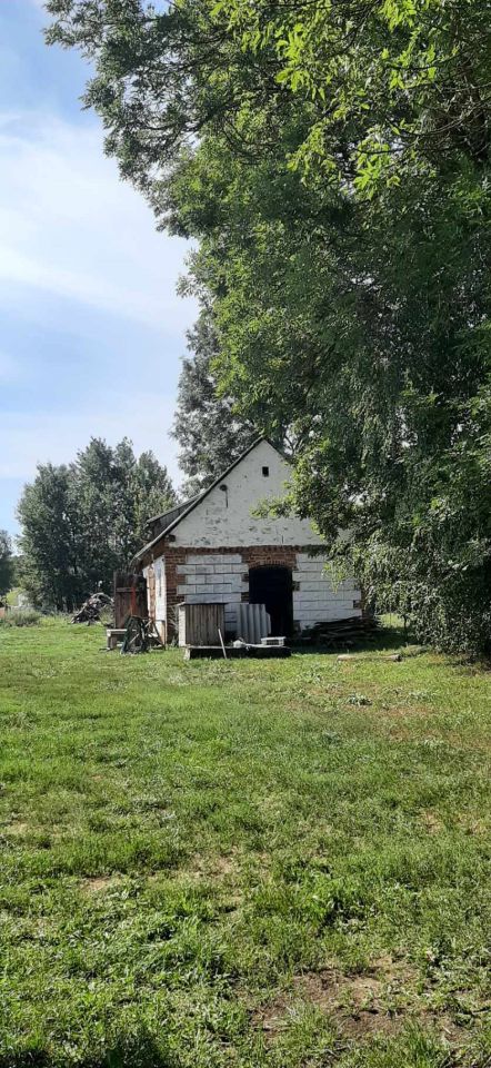 dom wolnostojący, 2 pokoje Wasiły-Zygny. Zdjęcie 7