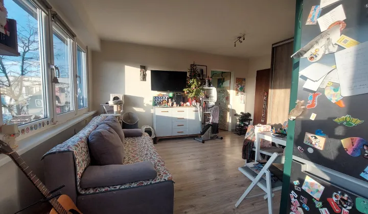 Mieszkanie 2-pokojowe Golub-Dobrzyń, ul. Henryka Sienkiewicza