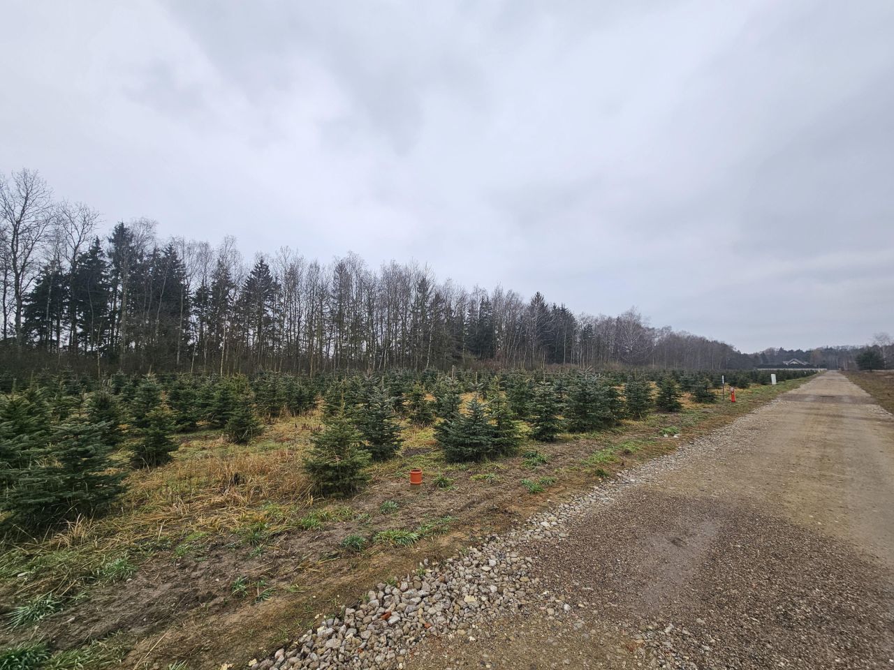 Działka budowlana Skierniewice Centrum, ul. Nowomiejska. Zdjęcie 5