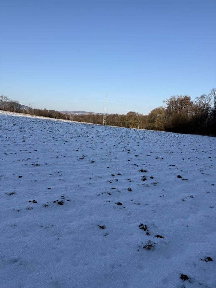 Działka rolna Ścinawka Dolna. Zdjęcie 3