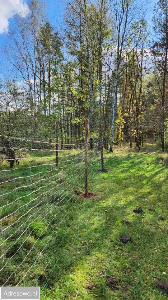 Działka budowlana Ogrodzieniec, ul. Spokojna. Zdjęcie 3