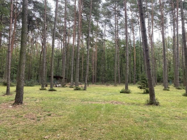 Działka budowlana Czyżemin. Zdjęcie 1