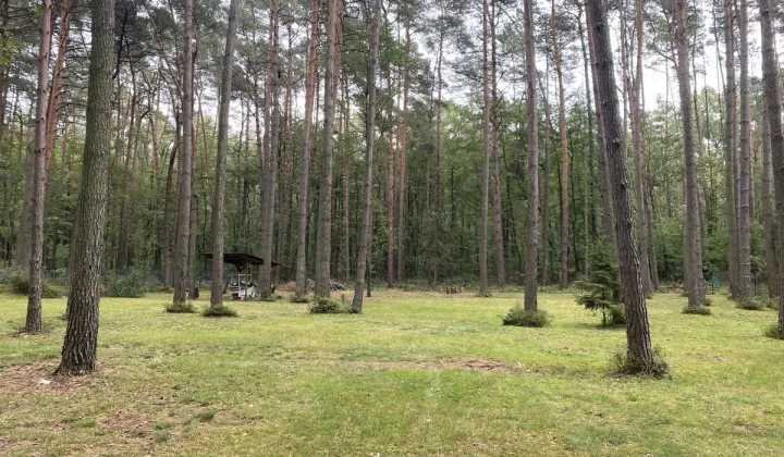 Działka budowlana Czyżemin