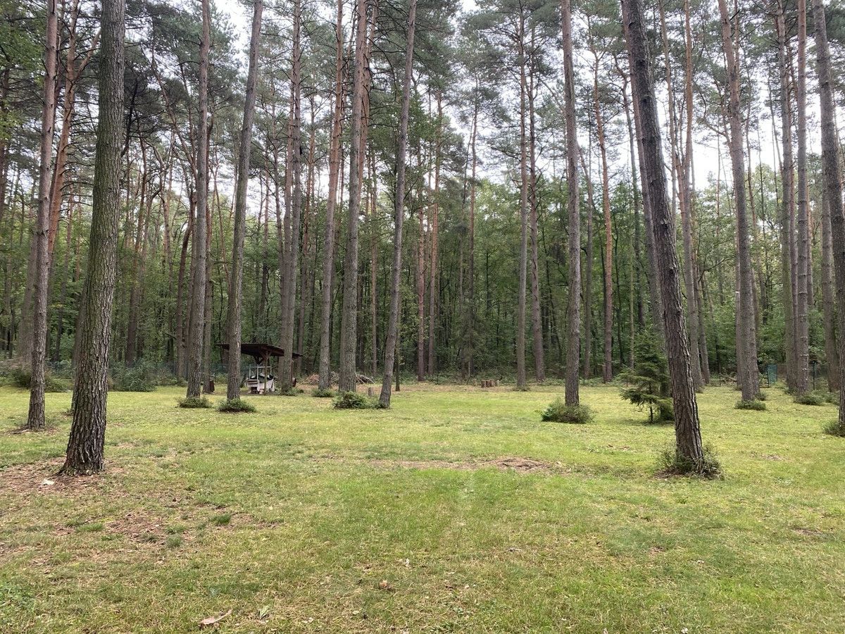 Działka budowlana Czyżemin. Zdjęcie 1