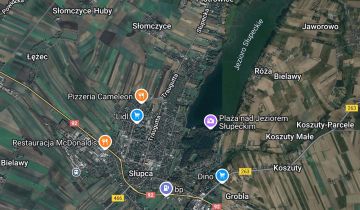 Działka rekreacyjna Słupca, ul. Róża