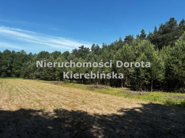 Działka rolna Stefanów. Zdjęcie 9