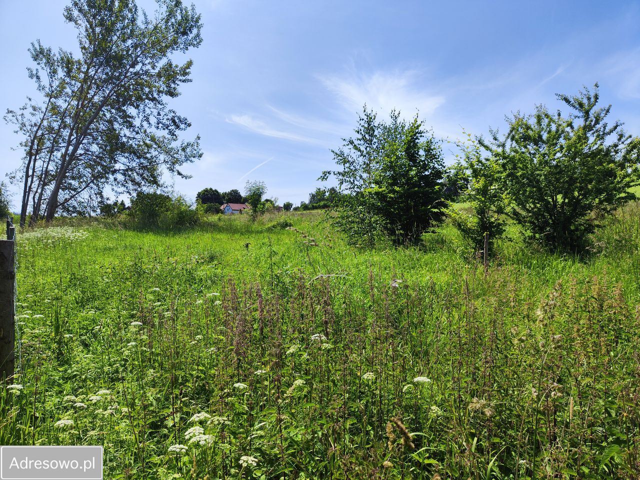 Działka budowlana Dzikowiec. Zdjęcie 7
