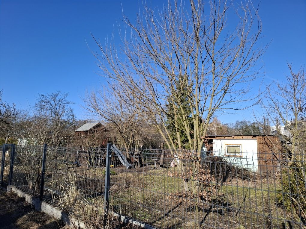 Działka rod Toruń Stare Miasto. Zdjęcie 1