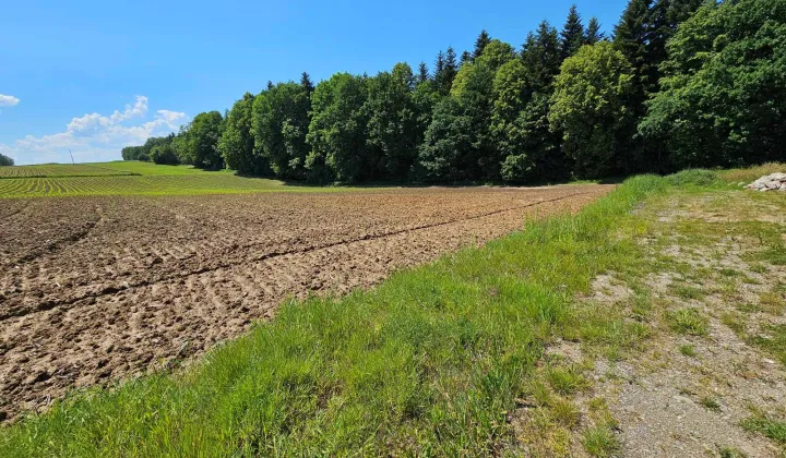 Działka rolno-budowlana Osiek Osiek Górny, ul. Grunwaldzka