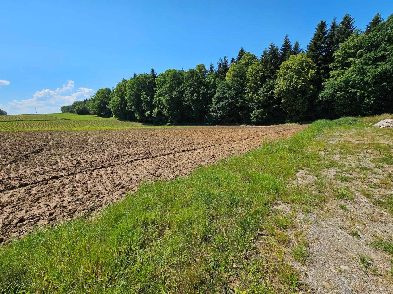 Działka rolno-budowlana Osiek Osiek Górny, ul. Grunwaldzka