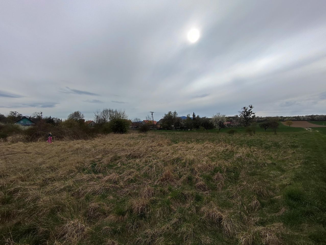 Działka rolno-budowlana Kunów, ul. Nasławicka. Zdjęcie 5