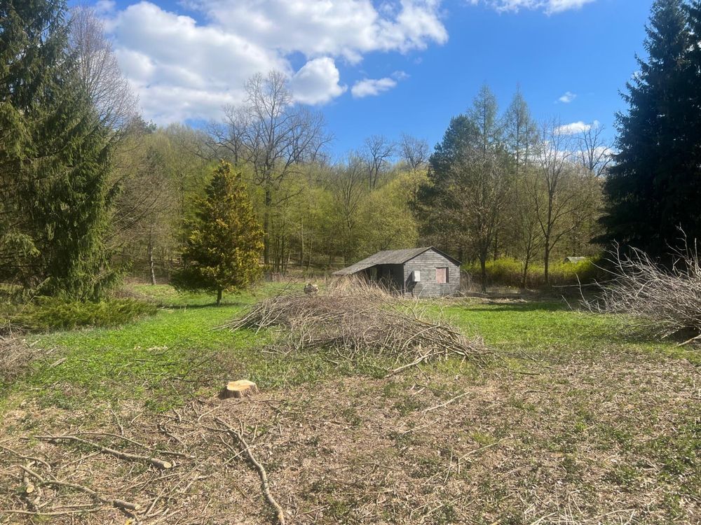 Działka siedliskowa Wojciechów. Zdjęcie 6