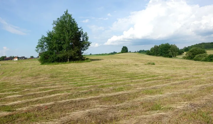 Działka rolno-budowlana Kaplityny