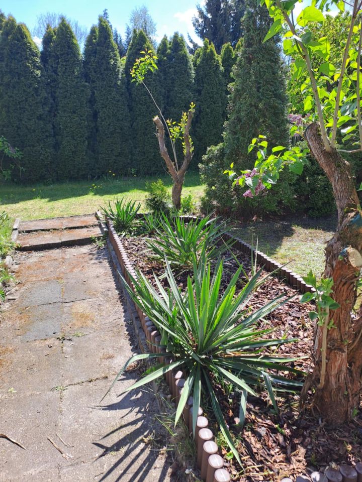 Działka rod Łódź Górna, ul. Wazów. Zdjęcie 7