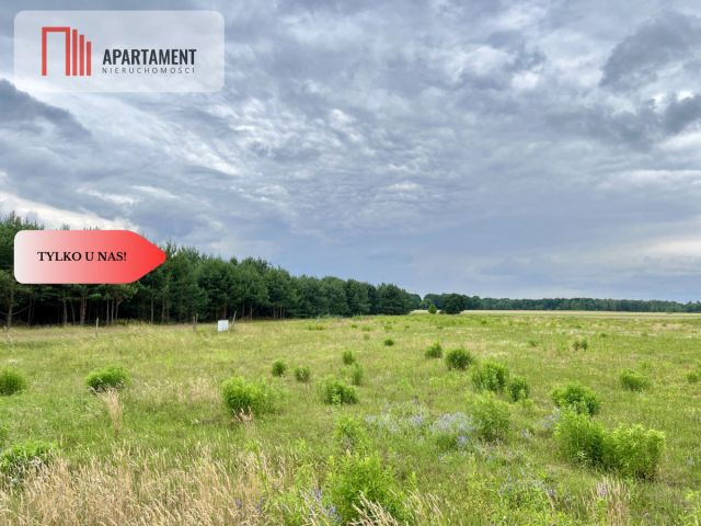 Działka budowlana Brunów. Zdjęcie 4