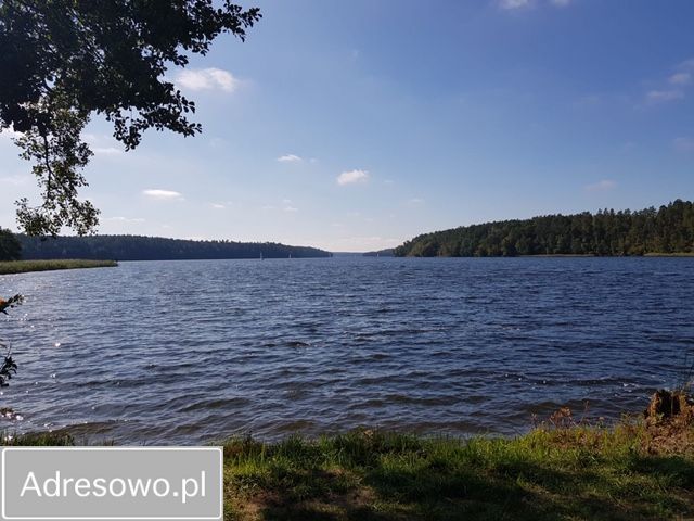 Działka inwestycyjna Wierzba. Zdjęcie 6