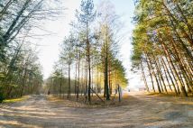 Działka rekreacyjna Śliski. Zdjęcie 4