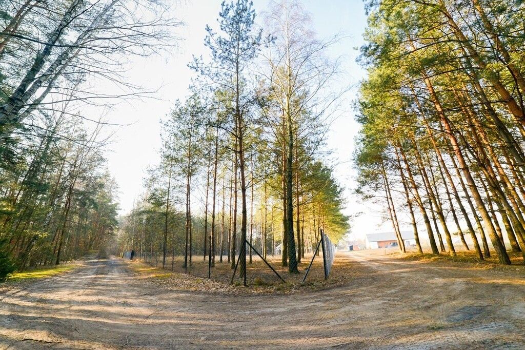 Działka rekreacyjna Śliski. Zdjęcie 6