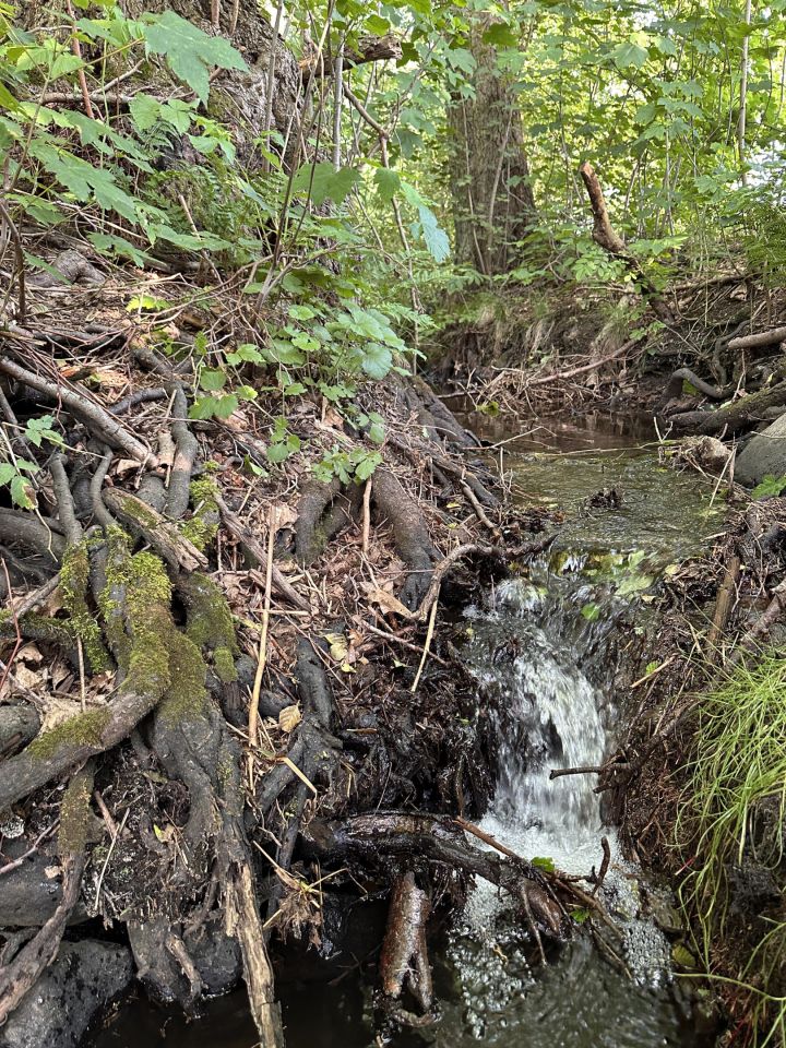 Działka budowlana Pomianowo. Zdjęcie 7