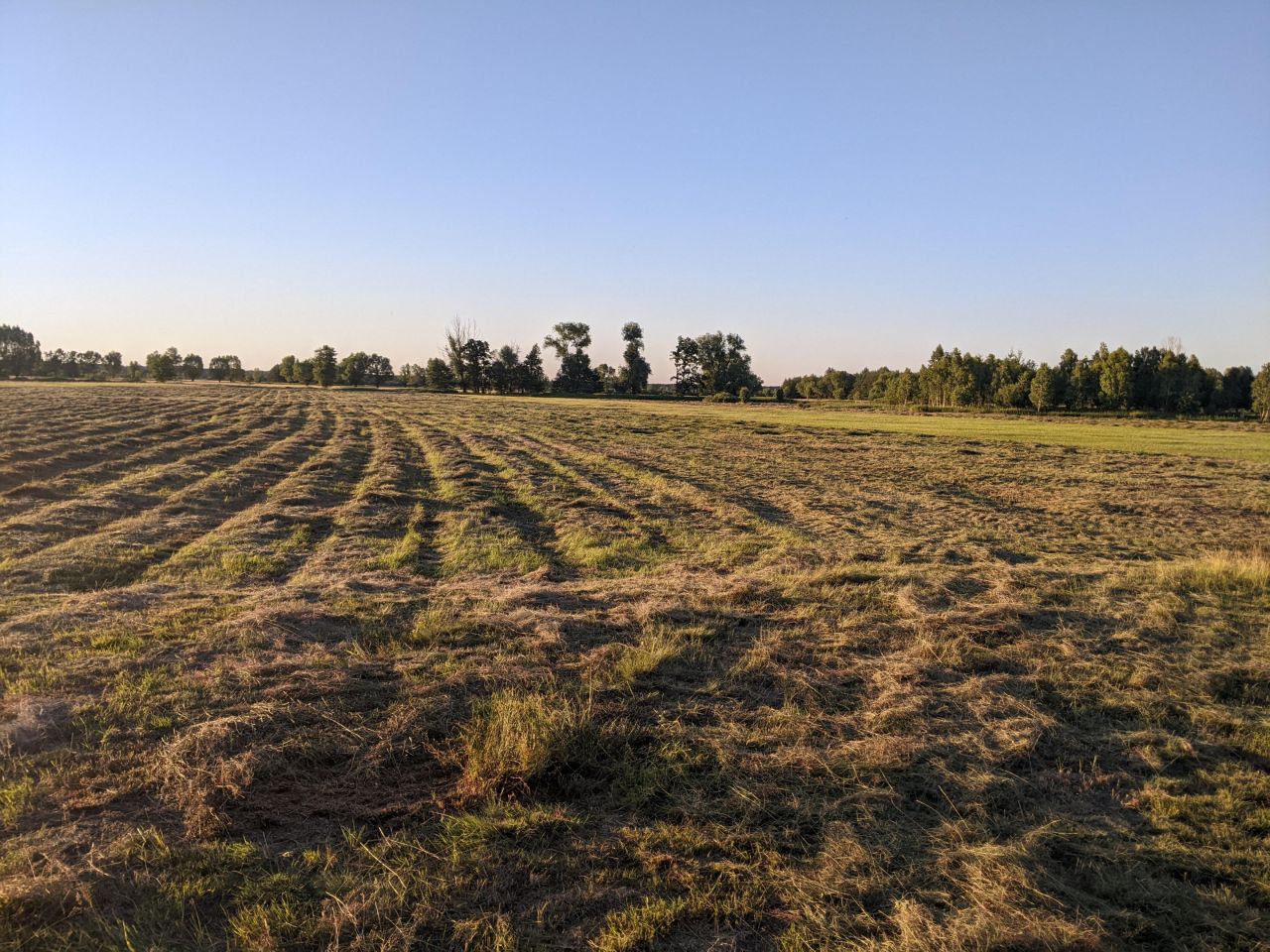 Działka rolna Sobieńki Brody, Brody. Zdjęcie 2
