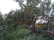 Działka rod Balice. Zdjęcie 3