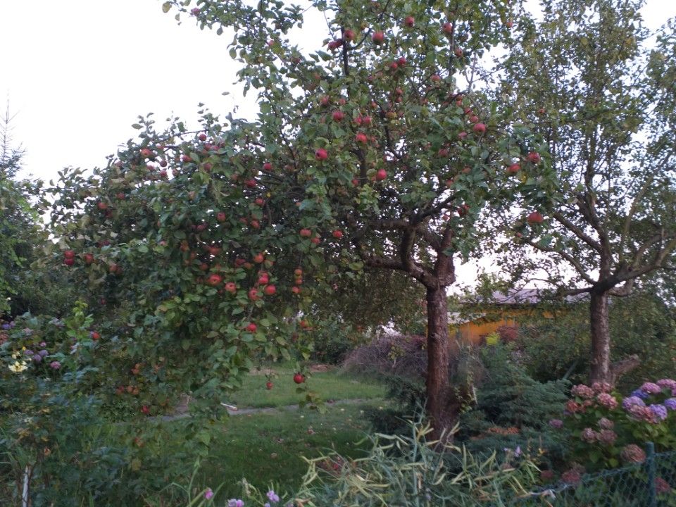 Działka rod Balice. Zdjęcie 4