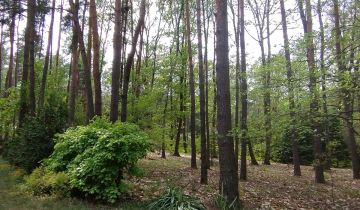 Działka budowlana Zofiówka, ul. Cienista