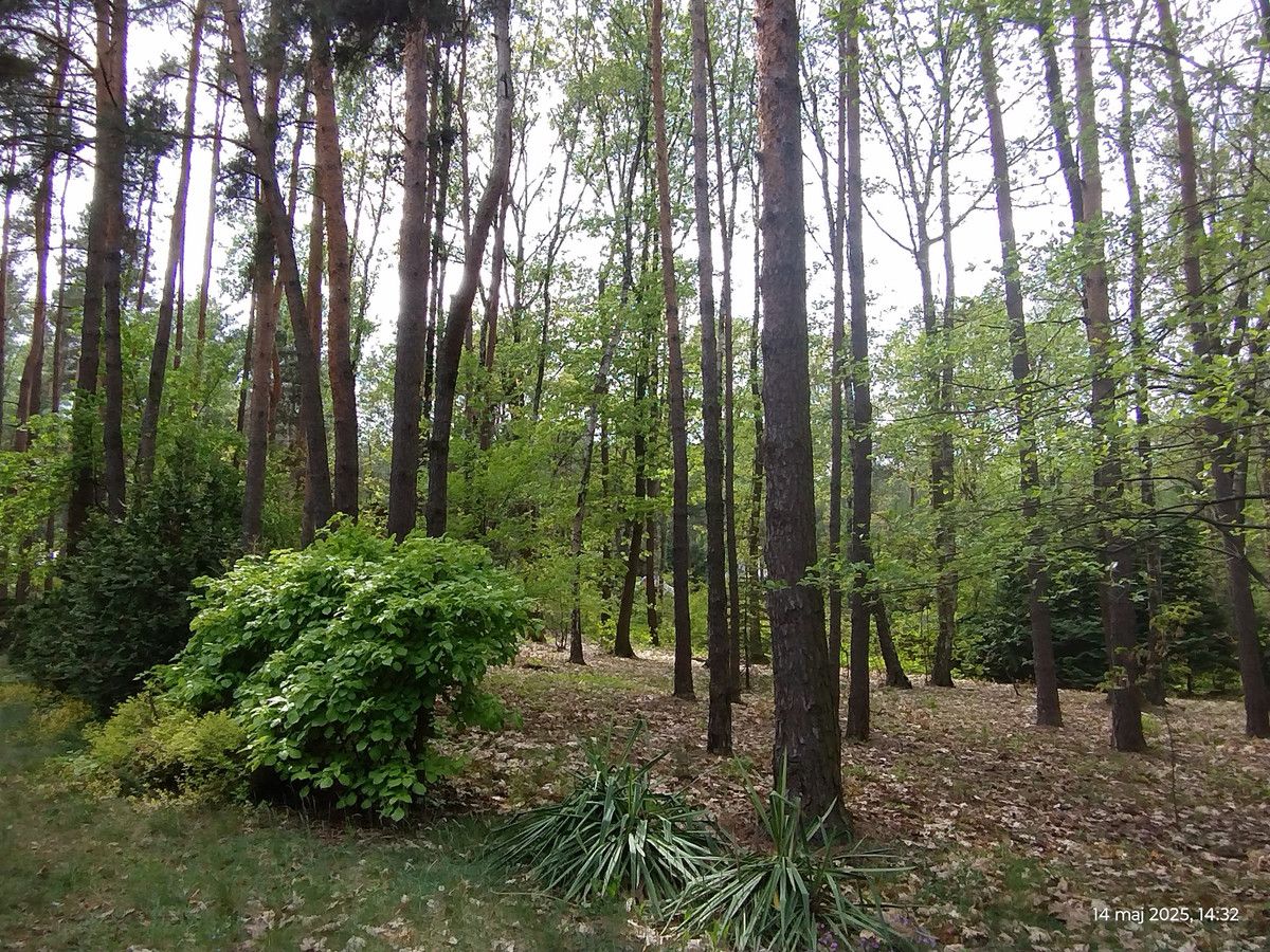 Działka budowlana Zofiówka, ul. Cienista. Zdjęcie 2