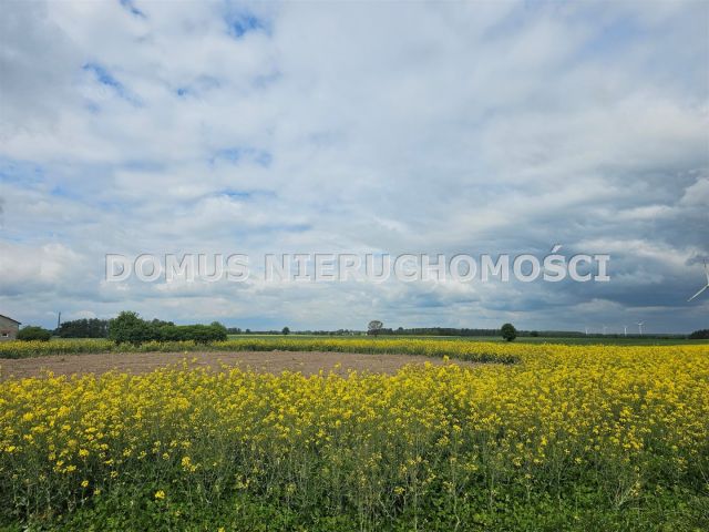 Działka rolna Stefanów. Zdjęcie 6