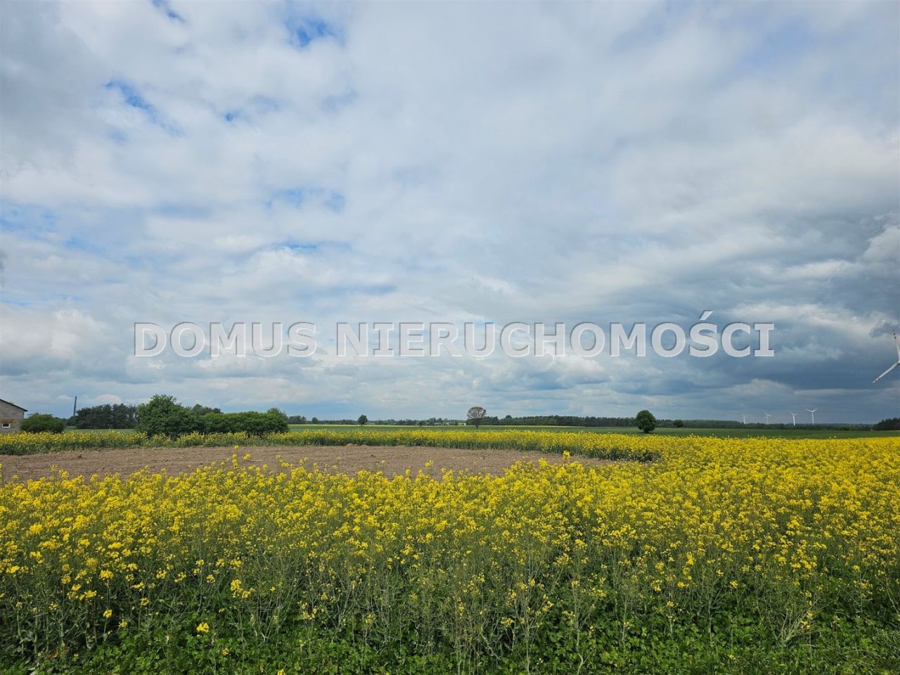 Działka rolna Stefanów. Zdjęcie 6